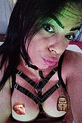 Gallarate Trans Escort Veronika Moschiny 380 74 31 638 foto selfie 6