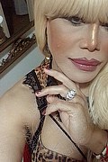 Milano Trans Nicole Vip Venturiny 353 35 38 868 foto selfie 512
