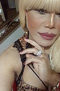 Milano Trans Escort Nicole Vip Venturiny 353 35 38 868 foto selfie 512