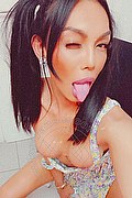 Torino Trans Escort Mulan Asiatica 347 60 31 342 foto selfie 3