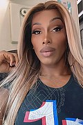 Bari Trans Escort Antonella Mantovanny 333 13 33 842 foto selfie 40