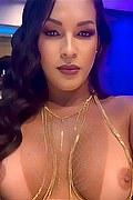 Gallarate Trans Escort Paulinha Ferraz 320 88 26 069 foto selfie 13