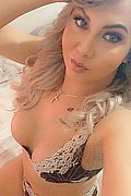 Viareggio Trans Escort Dafne Pornostar 380 14 22 205 foto selfie 60