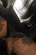 Padova Trans Mylla Brazao 346 36 31 420 foto selfie 17