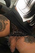 Padova Trans Mylla Brazao 346 36 31 420 foto selfie 13
