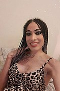 Oristano Trans Escort Vivyanna 340 56 42 502 foto selfie 18