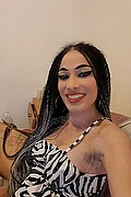 Merano Trans Escort Perla 340 56 42 502 foto selfie 14