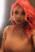 Genova Trans Escort Ariel Collins 376 26 87 589 foto selfie 43