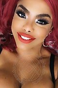 Genova Trans Escort Ariel Collins 376 26 87 589 foto selfie 37