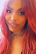 Genova Trans Escort Ariel Collins 376 26 87 589 foto selfie 42