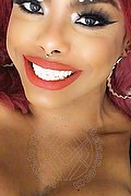 Genova Trans Escort Ariel Collins 376 26 87 589 foto selfie 35