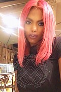 Genova Trans Escort Ariel Collins 376 26 87 589 foto selfie 44