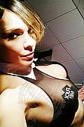 Genova Trans Escort Sharon Gold 342 00 38 167 foto selfie 16