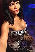 Napoli Trans Kayla Fabia 344 61 54 542 foto selfie 30
