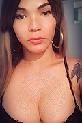 Novara Trans Ana Paola Tx 351 17 11 668 foto selfie 26