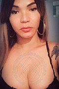 Prato Trans Escort Ana Paola Tx 351 17 11 668 foto selfie 21