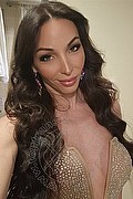 Roma Trans Escort Laviny Albuquerque Pornostar 389 00 19 370 foto selfie 10