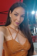 Roma Trans Escort Laviny Albuquerque Pornostar 389 00 19 370 foto selfie 3