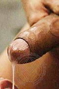 Tor San Lorenzo Trans Escort Monica La Gatta Nera 345 61 12 291 foto selfie 10