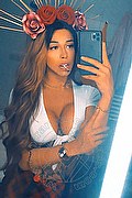 Casoria Trans Escort Ninfetta Geovanna 380 15 95 287 foto selfie 14