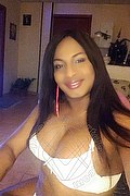 Napoli Trans Escort Kendra Dior 350 87 41 052 foto selfie 12