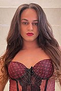 Bologna Trav Escort Victoria New 339 43 37 857 foto selfie 11