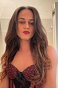 Bologna Trav Escort Victoria New 339 43 37 857 foto selfie 7