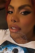 Genova Trans Escort Ariel Collins 376 26 87 589 foto selfie 32