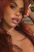 Genova Trans Escort Ariel Collins 376 26 87 589 foto selfie 30