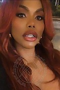 Genova Trans Escort Ariel Collins 376 26 87 589 foto selfie 29