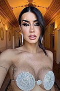 Bergamo Trans Nicole Andrade 329 89 48 041 foto selfie 35