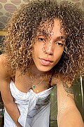 Milano Trans Sofia Rabello 338 17 73 609 foto selfie 8