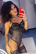 Gallarate Trans Escort Kauane Lima 351 44 38 227 foto selfie 8