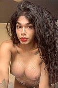 Novara Trans Miele 328 42 56 421 foto selfie 22