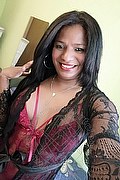 Arezzo - Rovigo Trans Escort Pantera V 351 18 17 162 foto selfie 2