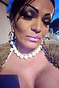 Novara Trans Kristal 339 61 78 410 foto selfie 10