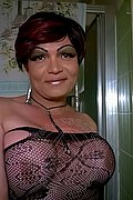 Novara Trans Escort Kristal 339 61 78 410 foto selfie 15