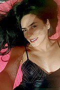 Rende Trans Escort Angel Dei Tuoi Sogni 333 12 01 653 foto selfie 16