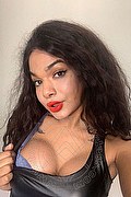 Brescia Trans Escort Miele 328 42 56 421 foto selfie 19