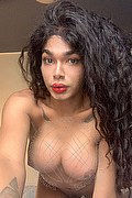 Brescia Trans Escort Miele 328 42 56 421 foto selfie 18