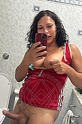 Teramo Trans Escort Stefany Costa 353 43 64 491 foto selfie 26