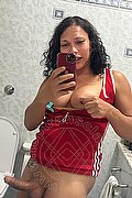 Teramo Trans Stefany Costa 353 43 64 491 foto selfie 27