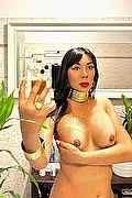Faenza Trans Vanessa 347 54 51 376 foto selfie 6
