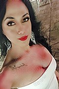 Verona Trans Bianca Maravilla 380 78 48 515 foto selfie 3