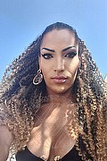 Pisa Trans Escort Sabrina Hot 327 12 57 133 foto selfie 2