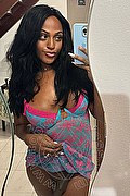 Firenze Trans Bruna Ferragni 338 59 31 655 foto selfie 166