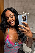 Firenze Trans Escort Bruna Ferragni 338 59 31 655 foto selfie 97