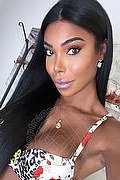 Roma Trans Escort Stephany  0036203304163 foto selfie 13