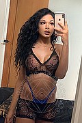 Novara Trans Miele 328 42 56 421 foto selfie 61