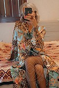 Treviso Trans Valeria 338 87 18 849 foto selfie 65